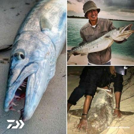 Fan gallery #3802 Fan gallery #3802