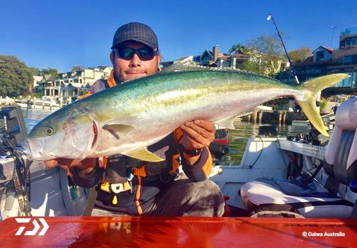 Fan gallery #3800 Fan gallery #3800