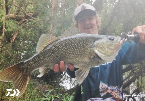 Fan gallery #3803 Fan gallery #3803