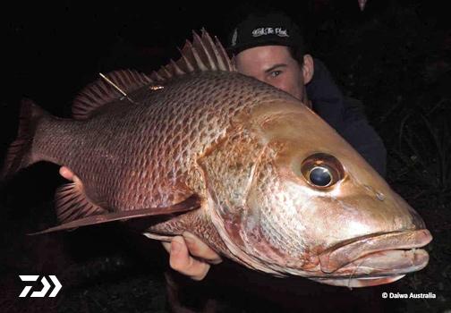 Fan gallery #3809 Fan gallery #3809