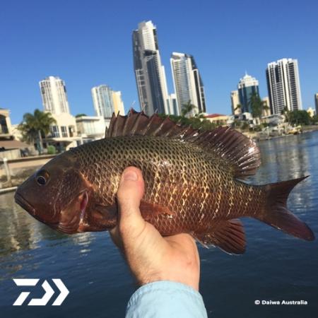 Fan gallery #2257 Fan gallery #2257