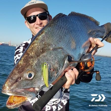 Fan gallery #3798 Fan gallery #3798