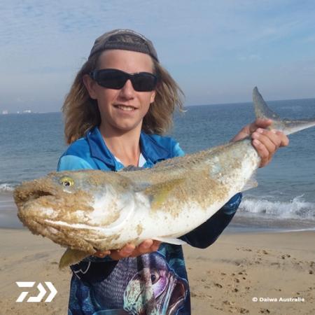 Fan gallery #3810 Fan gallery #3810