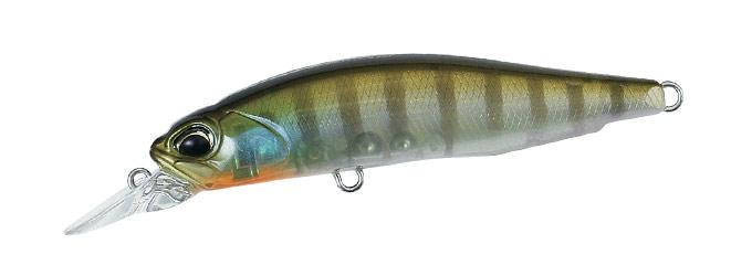 REALIS ROZANTE 63SP CCC3158 Ghost Gill REALIS ROZANTE 63SP CCC3158 Ghost Gill