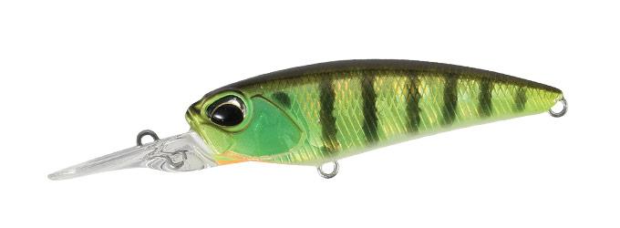 REALIS SHAD 62DR AJA3055 Chart Gill Halo REALIS SHAD 62DR AJA3055 Chart Gill Halo