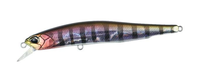 REALIS MINNOW 80SP ADA3058 Prism Gill REALIS MINNOW 80SP ADA3058 Prism Gill