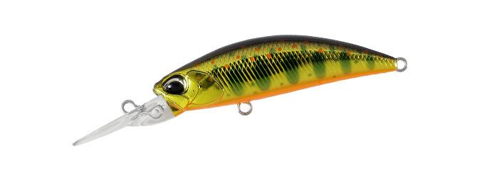 SPEARHEAD RYUKI 50MDF MCC4084 Gold Y SPEARHEAD RYUKI 50MDF MCC4084 Gold Y