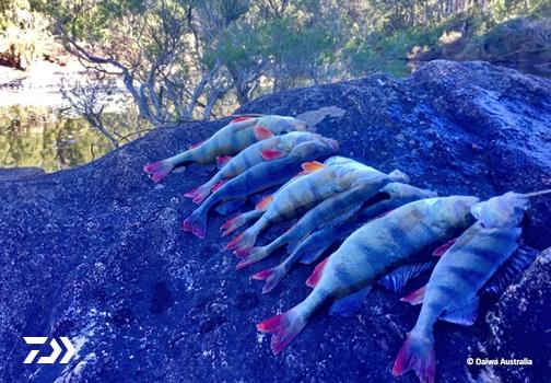 Fan gallery #3811 Fan gallery #3811