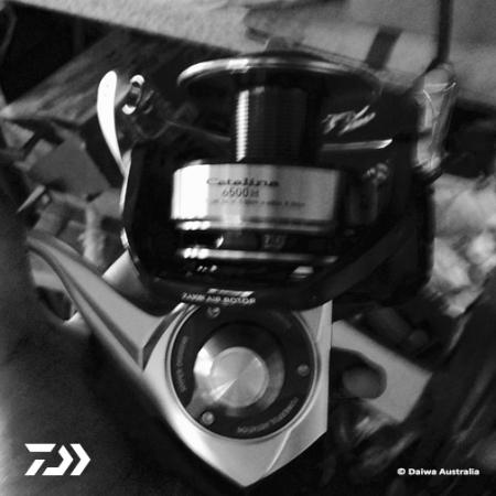 Fan gallery #3446 Fan gallery #3446