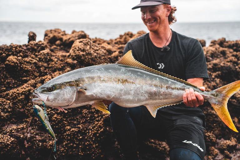 Topwater Kingfish | Your Complete Guide For The New Zealand Season Topwater Kingfish | Your Complete Guide For The New Zealand Season