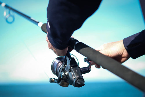 Built for the Salt: Why the Daiwa Free Swimmer BR Is Worth the Investment