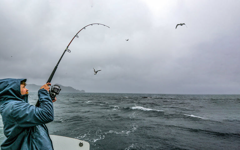 DAIWA 22 FREE SWIMMER BR REVIEW by NZ FISHING NEWS DAIWA 22 FREE SWIMMER BR REVIEW by NZ FISHING NEWS