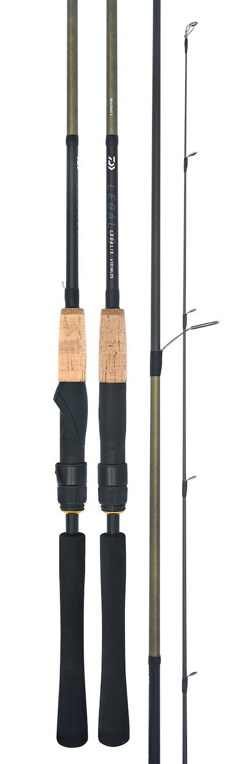 19 Legalis Spin 19 Legalis Spin