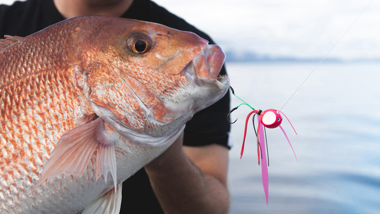 Daiwa Tech | Kohga Lures Daiwa Tech | Kohga Lures