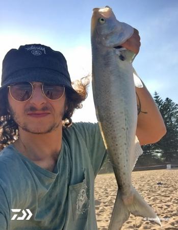 Fan gallery #3806 Fan gallery #3806