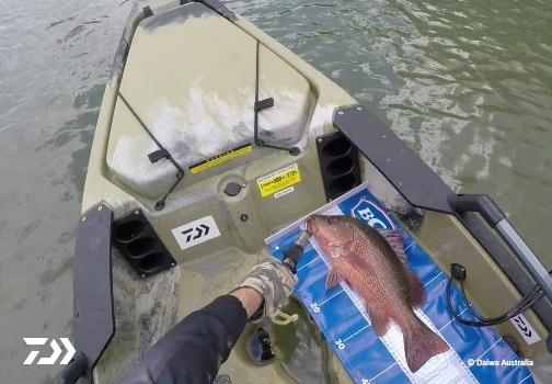 Fan gallery #3799 Fan gallery #3799