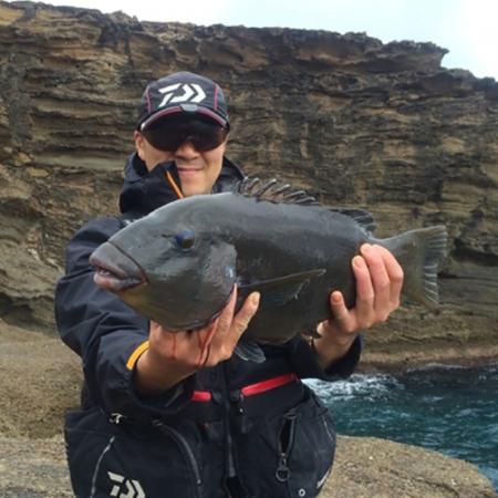 Fan gallery #3339 Fan gallery #3339