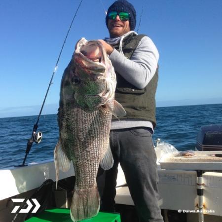 Fan gallery #3790 Fan gallery #3790