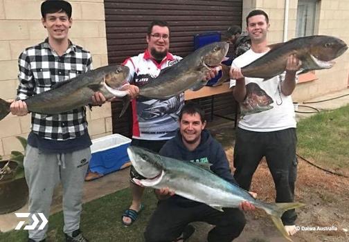 Fan gallery #3815 Fan gallery #3815