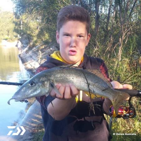 Fan gallery #3797 Fan gallery #3797