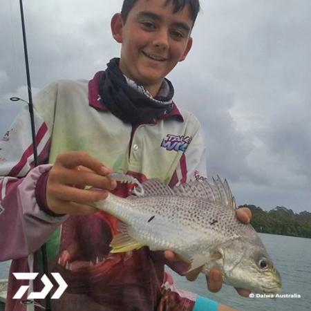 Fan gallery #3360 Fan gallery #3360