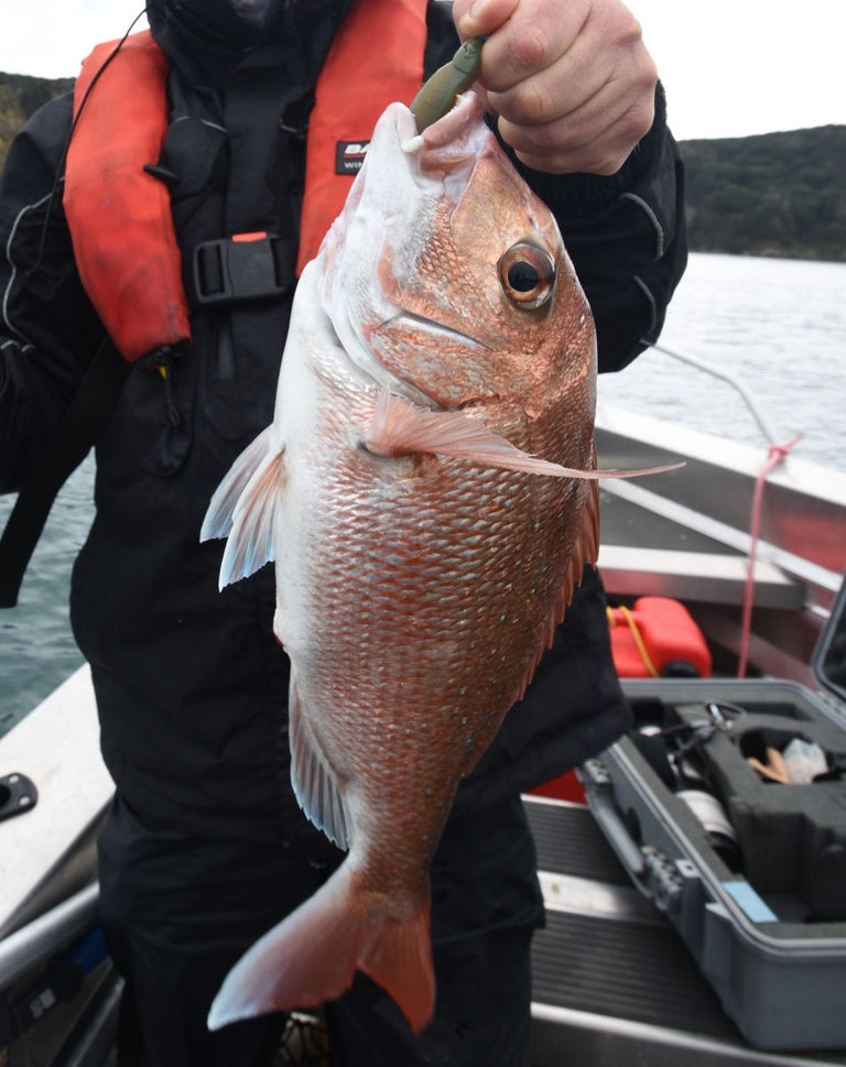 REVIEW: DAIWA CERTATE 3000 SPINNING REEL REVIEW: DAIWA CERTATE 3000 SPINNING REEL