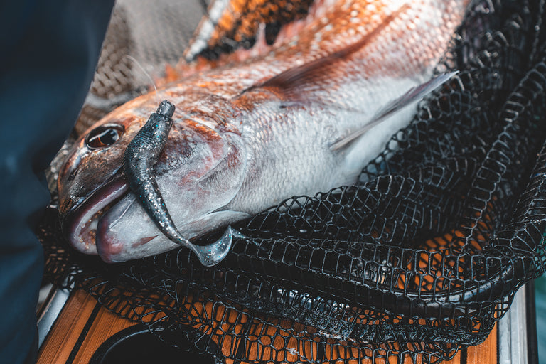 Bait Junkie Softbaits | Daiwa Tech Bait Junkie Softbaits | Daiwa Tech