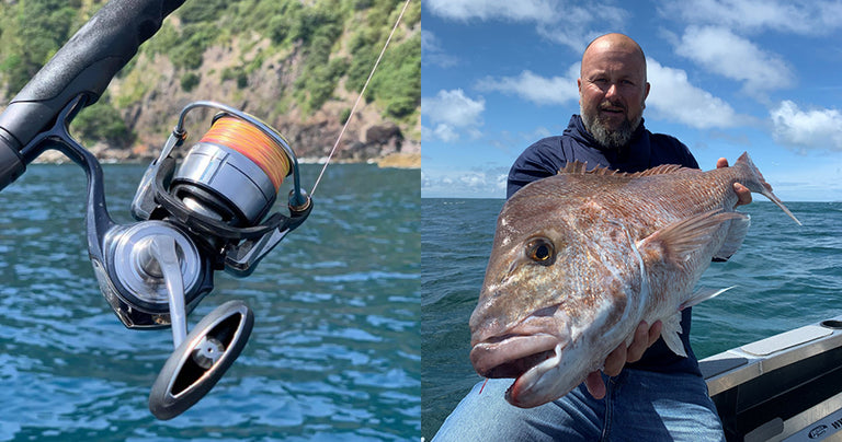 19 CERTATE LT REVIEW BY WAYNE DOWNER 19 CERTATE LT REVIEW BY WAYNE DOWNER