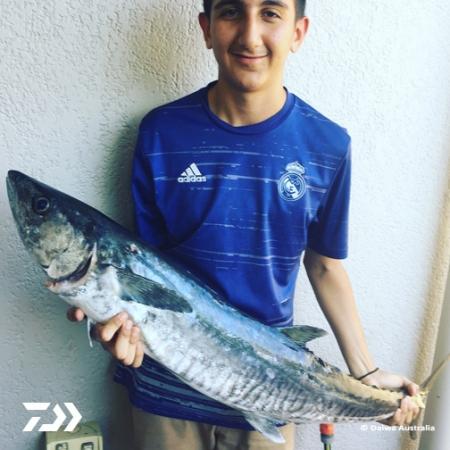 Fan gallery #699