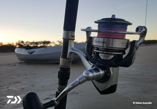 Fan gallery #2979