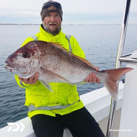 Fan gallery #684