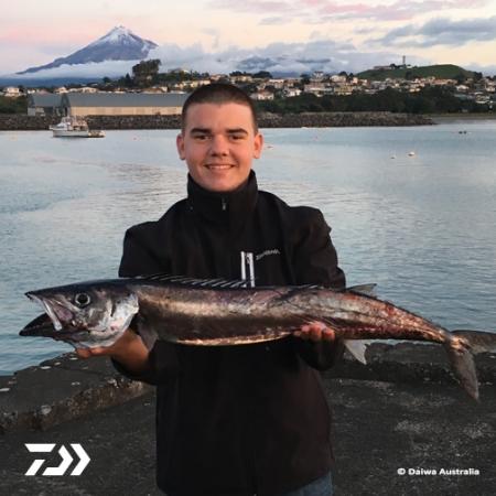 Fan gallery #3157