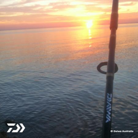Fan gallery #3023
