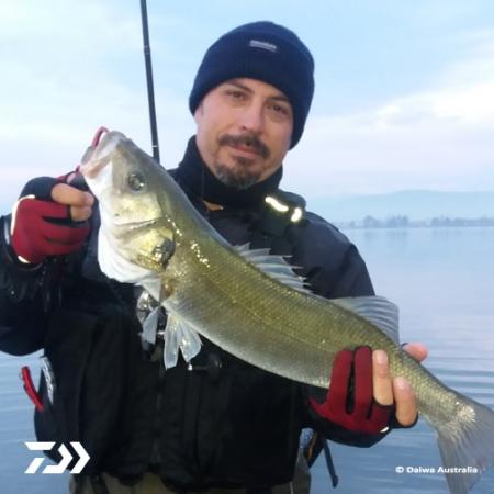 Fan gallery #2393