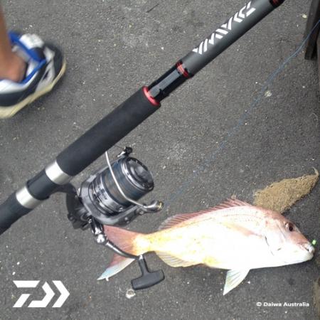 Fan gallery #2589
