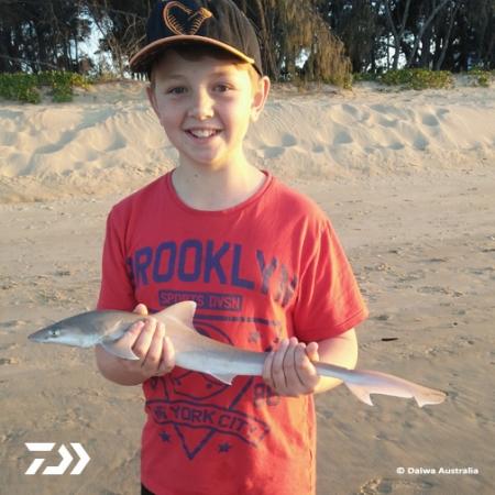 Fan gallery #3198