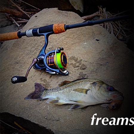 Fan gallery #2215