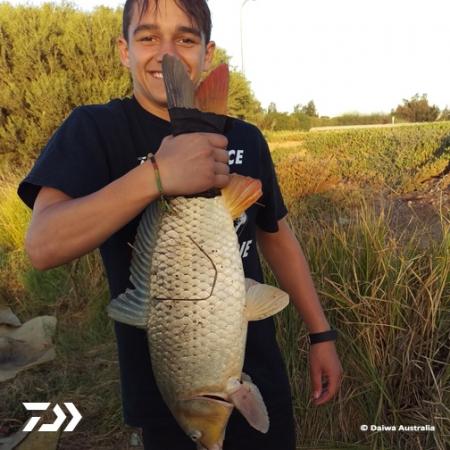 Fan gallery #2331