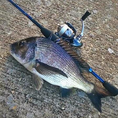 Fan gallery #2544