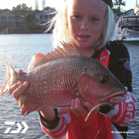Fan gallery #2594