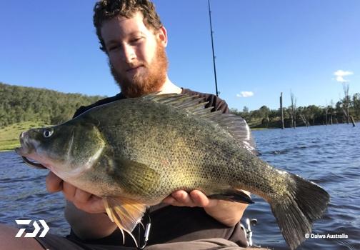 Fan gallery #676