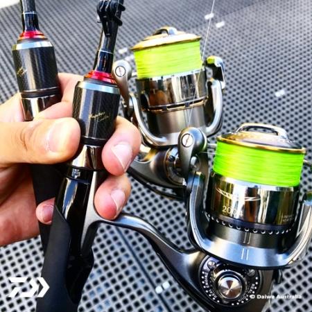 Fan gallery #2443