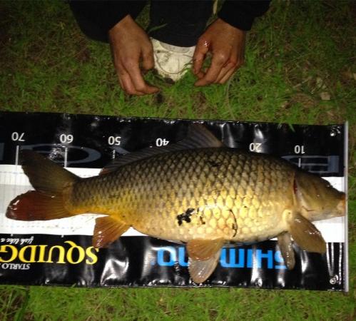 Fan gallery #3687