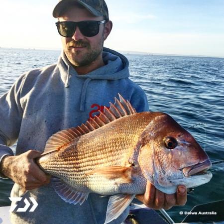 Fan gallery #925