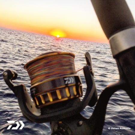 Fan gallery #2523