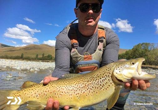 Fan gallery #3099