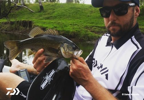 Fan gallery #927