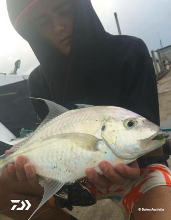 Fan gallery #2624