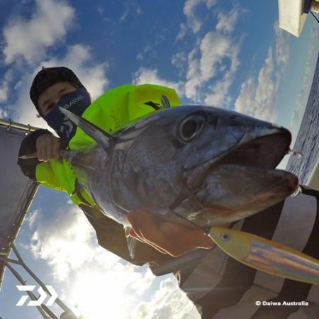 Fan gallery #2613