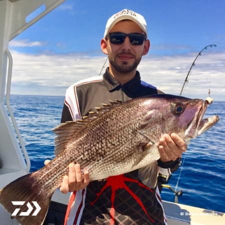 Fan gallery #2080
